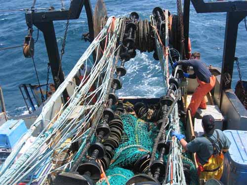 Fishermen switch nets to use the haddock rope trawl, or eliminator trawl, during testing on the F/V Iron Horse.: NOAA’s Fisheries Service has approved the use of new trawl gear that is expected to reduce the catch of nontarget fish species in the Northeastern groundfish fishery by more than 50 percent. The use of the “haddock rope trawl,” commonly known as the eliminator trawl by the Northeast commercial groundfish fishing industry, should help conserve and restore depleted groundfish resources, such as cod and flounders, while allowing vessels to target haddock and other healthier stocks that live in the same area.  Groundfish species often live together near the sea bottom, and are caught by trawl gear. However, some stocks are overfished. Most are under rebuilding plans, but some fishing is allowed on all of them. The haddock rope trawl was developed by the University of Rhode Island Sea Grant College Program in conjunction with commercial fishermen, in a project funded by the NOAA’s Fisheries Service Northeast Cooperative Research Partners Program. The project was intended to develop a gear that would capture fish from stocks that are not overfished, while avoiding or releasing others. Photograph courtesy of NOAA by Laura Skrobe, University of Rhode Island, Rhode Island Sea Grant. Text from NOAA.